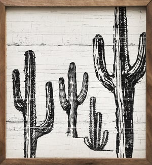 Cacti Whitewash